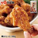 [ Fukuoka префектура ] Hakata . тест птица . из ..300g (620617) /.. рисовое поле минтаевая икра подарок по случаю конца года подарок гурман подарок закуска рис гарнир деликатес .. товар . данный земля 2025 зима Fukuoka Kitakyushu 