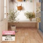 [ образец специальный страница ] солнечный getsu подушка пол магазинный подушка пол ( cut образец )