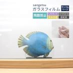 [ образец специальный страница ] солнечный getsu тонировка стёкол пленкой прозрачный .. предотвращение плёнка ( cut образец ) CLEASka Индия 90 одноцветный прозрачный прозрачный 