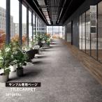 [ образец специальный страница ] солнечный getsu ковровая плитка NTH-7160 D-eco tech s коричневый -do материал F NT-700H серии ( cut образец )