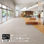 [ образец специальный страница ] восток li длинный сиденье non воск дракон mNW ( cut образец )