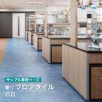 【サンプル専用ページ】東リ フロアタイル ルースレイマスターNW-EX 石目調 （カットサンプル）