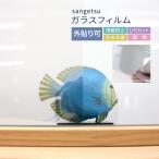 [5m из распродажа 10cm единица измерения ] солнечный getsu тонировка стёкол пленкой .. сиденье вне приклеивание для 97cm ширина bi -тактный 65EX прозрачный прозрачный 