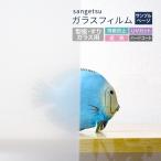 [ образец специальный страница ] солнечный getsu тонировка стёкол пленкой окно ( cut образец )