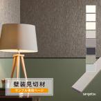 [ образец специальный страница ] солнечный getsu видеть порез материал Smart Joyner EASY одиночный цвет металлик цвет золотой цвет серебряный цвет flat поверхность стена для EGJ материалы для отделки стен ( cut образец )