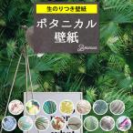 壁紙 ボタニカル柄 のり付き クロス 南国 ジャングル 緑 植物 モンステラ 花柄 フラワー おしゃれ 生のり付き 壁紙の上から貼れる