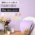 ショッピング材 塗り壁 壁紙の上からそのまま塗れる 天然系塗り壁材 「 ひとりで塗れるもん 」 練済み 22kg