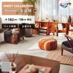 [ максимальный *20% off купон ] подушка пол домашнее животное соответствует земля пара камень глаз style восток li[ заказ. 1m и больше 10cm единица измерения ]morutaruCF3742