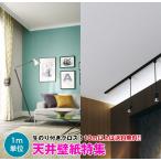 【10m以上で送料無料】天井 壁紙 クロス のり付き壁紙 デザインクロス ☆サンゲツ☆ FINE 【FE74131〜FE74136】