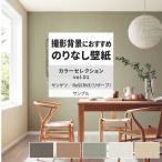 壁紙 サンプル A4 壁紙クロス 塗り壁調 無地 アースカラーサンゲツ DIY 壁紙の上から貼れる壁紙