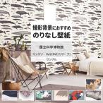  обои образец A4 обои Cross динозавр птицы минерал страна . наука музей солнечный getsuDIY обои. сверху ... обои 