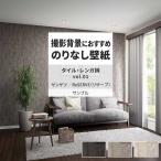  обои образец A4 обои черный стиль современный серый бежевый солнечный getsuDIY обои. сверху ... обои 