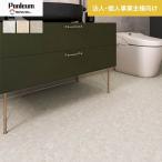  подушка пол юридическое лицо * частное лицо проект . sama специальный мрамор рисунок жилье для sin call 182cm ширина 1.8mm толщина мрамор 