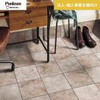  подушка пол юридическое лицо * частное лицо проект . sama специальный земля пара sin call 2.3mm толщина 182cm ширина S керамика плитка 