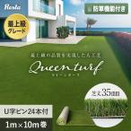 人工芝 ロール 1m×10m 芝丈35mm リアル人工芝 クイーンターフ U字ピン24本付き