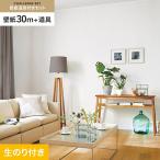 壁紙 クロス のり付き チャレンジセット (スリット壁紙90cm巾+道具) 30m SP2512