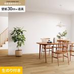 壁紙 クロス のり付き チャレンジセット (スリット壁紙90cm巾+道具) 30m SP2501
