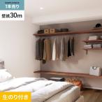 壁紙 クロス のり付き シンプルパック (スリット壁紙90cm巾) 30m SP2555 (旧SP9761)