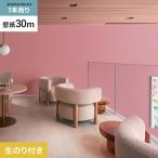 壁紙 クロス のり付き シンプルパックプラス (スリット壁紙90cm巾) 30m BB2374