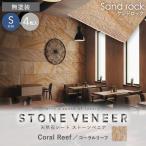 ショッピング天然石 天然石シート  ストーンベニア サンドロックタイプ （砂岩） 300×600mm 4枚セット 無塗装