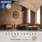ショッピング天然石 天然石シート  ストーンベニア サンドロックタイプ （砂岩） 300×600mm 4枚セット ナノコート仕上げ