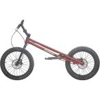 BMXバイク 20インチ スタント用自転