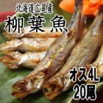 Yahoo! Yahoo!ショッピング(ヤフー ショッピング)ししゃも オス４Ｌサイズ20尾 北海道広尾産 十勝港 プレミアサイズ