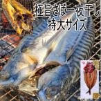  высшее . скумбиря соленое и высушенное в течение ночи Hokkaido широкий хвост блок обработка очень большой .. сушеный продукт 