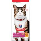 猫用ドライフード