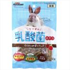 P-4976555242737 ドギーマン ウサギの乳酸菌おやつ カリカリ牧草スナック 40g