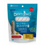 P-8809058113883 フォーキャンス デンティ・スリーフェアリー 徳用