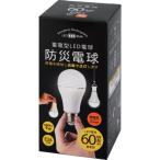 LED電球、LED蛍光灯