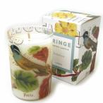 フレグランスキャンドル　モーニングbotanica[FRINGE　STUDIO]ルームキャンドル・ルームフレグランス・芳香剤