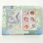 [Punch Studio] карты комплект ракушка 2 комплект bata сковорода chi Studio 