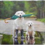 Yahoo! Yahoo!ショッピング(ヤフー ショッピング)C-439　３枚　ペーパーナプキン  雨上がりの犬　親子　[paper+design]ペーパープラスデザイン・デコパージュ・紙ナプキン