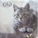 Yahoo! Yahoo!ショッピング(ヤフー ショッピング)ペーパーナプキン　ランチサイズ　5枚入り　[メール便OK] CUDDLY CAT [IHR] ドイツ　紙ナプキン・デコパージュ