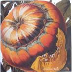 Yahoo! Yahoo!ショッピング(ヤフー ショッピング)ペーパーナプキン　ランチサイズ　5枚入り　[メール便OK]AUTUMN　SQUASH[CASKATA　Studio]ドイツ　紙ナプキン・ペーパーナプキン・デコパージュ・秋