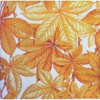 Yahoo! Yahoo!ショッピング(ヤフー ショッピング)ペーパーナプキン　ランチサイズ　5枚入り　[メール便OK]CHESTNUT　FOLIAGE　cream[ＩＨＲ]ドイツ　紙ナプキン・ペーパーナプキン・デコパージュ・秋