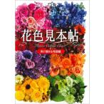  цветок цвет образец .