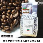 コーヒー豆 コーヒー 豆 珈琲豆 自家焙煎 エチオピア モカ イルガチェフェ G4 中煎り / ハイロースト アラビカ種 ストレート 500g