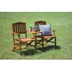 ガーデン チェア 椅子 いす アウト�