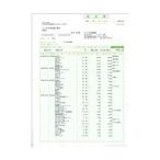 BSLシステム研究所 BH-1004S 請求書 500枚入