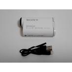 SONY ビデオカメラ アクションカム AS