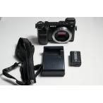 SONY ミラーレス一眼カメラ α NEX-7 ボ