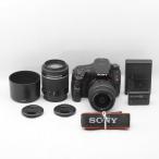 SONY ミラーレス一眼 α65 ダブルズー