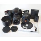 SONY ミラーレス一眼 α65 ダブルズー