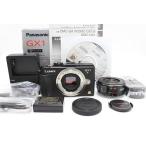 パナソニック ミラーレス一眼カメ