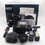 SONY レンズ交換式HD ハンディカムVG30
