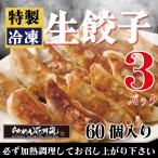 らあめん花月嵐 特製生餃子【３パックセット】1パック内20個入