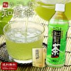 かごしま知覧茶 500ml ペットボトル 24本 煎茶 緑茶 お茶 500PET